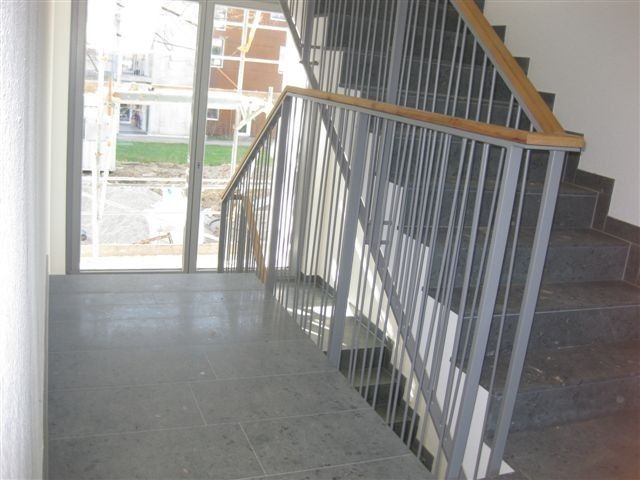 Bilder anzeigen