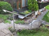 Bilder anzeigen